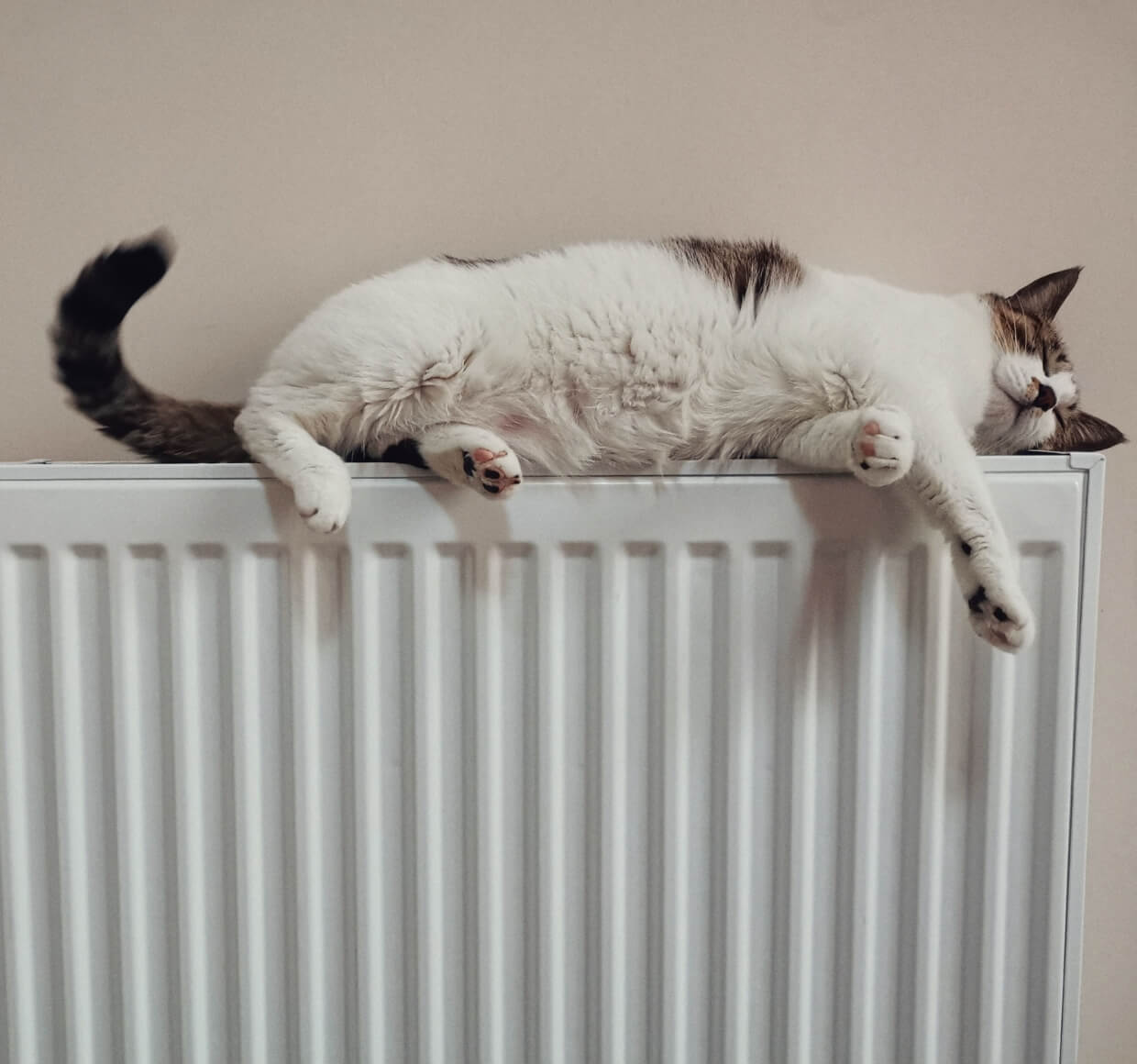 Central Heating Engineer